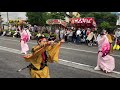 庄川観光祭 2019 hot@炎雄