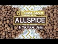 7 Things About Allspice and Its Cultural Uses