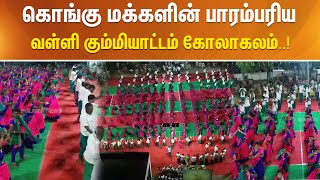 கொங்கு மக்களின் பாரம்பரிய வள்ளி கும்மியாட்டம் கோலாகலம்..!