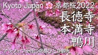 京都桜2022🌸【長徳寺・鴨川・本満寺】桜の名所をアラフィフ女性が巡る（Cherry Blossoms,Kyoto,Japan）