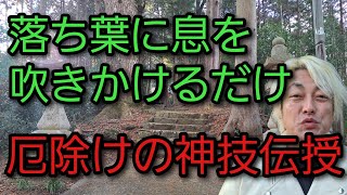 神社で拾った落ち葉が家族を守る⁉ 驚きの厄除け法