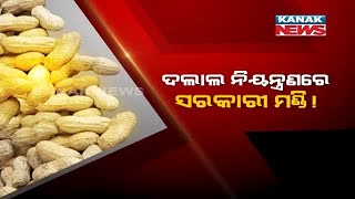 Mandi In Control Of Middleman, Groundnut Farmers Faces Problem In Malkangiri