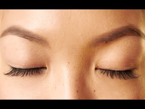 HOW TO: Grow Your Eyebrows Back Fast! HOW TO: Grow Your Eyebrows Back Fast!