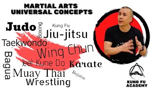 Universal concepts for any Martial Arts - KFR 205