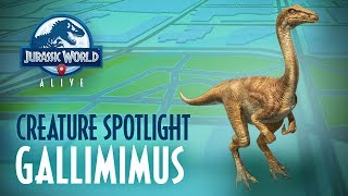 Creature Spotlight - Gallimimus