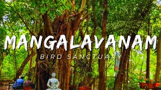 മംഗളവനം bird sanctuary mangalavanam bird sanctuary,mangalavanam kochi ernakulam#trending