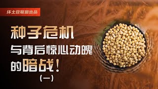 中国14亿人的饭碗能端稳吗？餐桌上的大国博弈，种子战争，一场关乎国家能否独立生存，决不能输的战争，坏土豆深度解析，种子危机与背后惊心动魄的暗战！为何中国并非农业强国！（一）