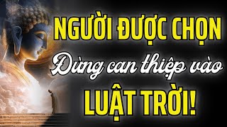 Khi Trời Muốn Thử Người Được Chọn – Họ Sẽ Đặt Trước Bạn Một Linh Hồn Đau Khổ