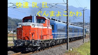 快速 DL EL ぐんまよこかわ DD51 842 12系5両 EF64 1053