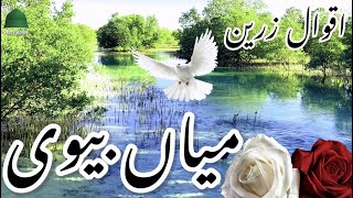 Husband Wife | MIA BEWI | Aqwale Zareen |Precious Quotes | Aqwal e Zareen in urdu | Beautiful Quotes