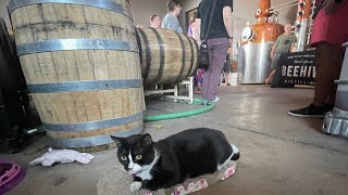 Beehive Distillery Tour with Cat