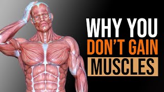 10 Reasons Why You Don’t Gain Muscle