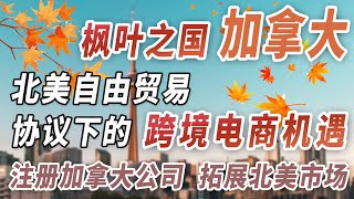 ​加拿大电商新时代：超越美国市场的绝佳机遇，全方位解读加拿大政策与税务优势，一站式指导中小企业出海开疆拓土！