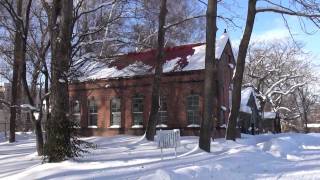 北海道大学の雪景色　第二農場　sappro