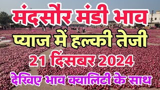 मंदसौर मंडी  प्याज भाव 21 दिसंबर 2024 | आज के प्याज के भाव |mandsaur mandi onion rates #onion #rates