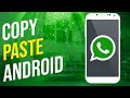 How To Copy And Paste On Whatsapp Android (Simple!)