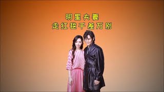 明星夫妻走红毯千差万别？罗晋满眼都是唐嫣，向佐郭碧婷早有预兆