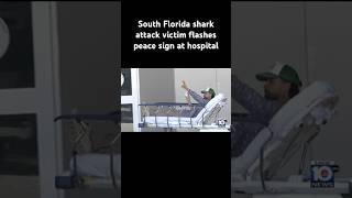 A man survived a shark attack at Everglades National Park and was taken to a South #Florida hospital