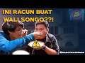 SARAPAN RACUN ALA CIREBON | MADOT Eps.1