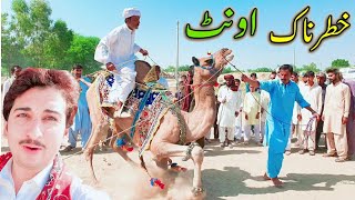 Aj To Kamal He Ho Giya Onth Mely Main 😯🐫