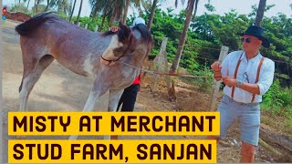 Merchant Stud/Horse Farm at Sanjan, Gujarat | Part 2 |