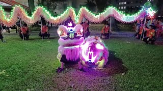 新加坡南仙龍獅體育會 Singapore Nam Sieng LED Lion Dance Cai Qing Performance at AMK BLK 105 觀德壇 on 16/07/22