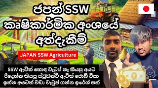 SSW ඇවිත් සුපිරි පඩියක් ගන්න හැටි | SSW Visa Agriculture | Japan work visa | Sinhala #workinjapan