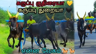 என்ன வேகம்💥(கருப்புக் குதிரை🐎) RGR சித்திரங்குடி (கருப்புத்துரை)#rekalarace