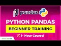 Learn Python Pandas: 1-Hour Pandas Course for Beginners