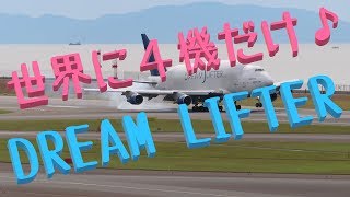 【DREAM LIFTER】世界で４機だけ♪ﾄﾞﾘｰﾑﾘﾌﾀｰ in 中部国際空港(ｾﾝﾄﾚｱ)