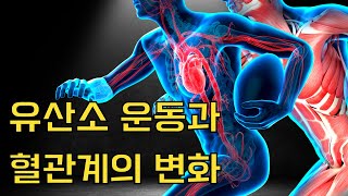 유산소 운동과 혈관 변화 [건강에 직빵인 운동 보약]