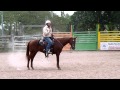 Greg Cook Horsemanship Backing Demo.MTS