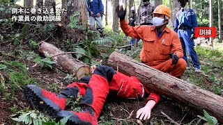 林業の作業事故を想定　岐阜県で救出訓練