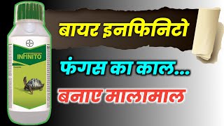 बायर इंफिनिटों की पूरी जानकारी। Bayer Infinito। Fungicide। Sabse acha fungicide। अच्छा फफुंदनाशक।