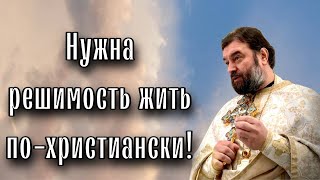 Каждый день полагать начало своему спасению. Отец Андрей Ткачёв