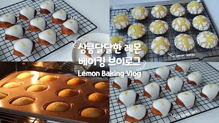 SUB) 🍋상큼달달 레몬 베이킹 브이로그!🍋| Lemon Baking Vlog | 레몬케이크, 레몬쿠키 | 데일리주DAILYJOO