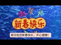 刀郎的音乐人生 从这山到那山，刀郎就不再孤独了？