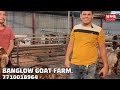 aa gaya dhamakedar price me dene bakre dene banglow goat farm mumbra @msqvlogs5186