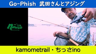 【アジング】Go-Phish武田さん「カモメトレイル」56ul＋ちっさinoで夕まずめチャンス【小島遊漁場】