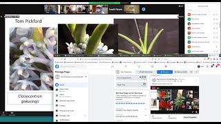 Jan 5, 2021 SFOS Zoom Meeting - Bill Thoms' Bulbophyllum talk