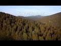 Carpathians 2020 | full video