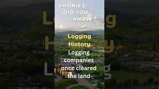 Logging History of the Smokies - Did you know?