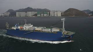 car carriers Pulau Tioman x Mindoro