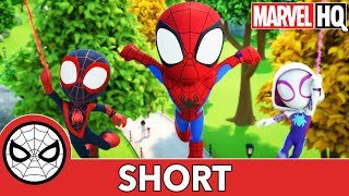 Meet Spidey and his Amazing Friends Short #7 |The Spidey Team | @Disney Junior @Marvel HQ