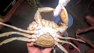 समुद्रावर पकडले मोठे खेकडे , रात्रीच्या मासेमारीची धम्माल | crab catching @TejaGurav