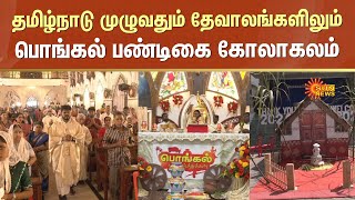 Pongal Celebration in Church | Tamil Nadu | Chennai Santhome Church | Sun News