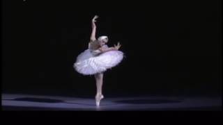 Умирающий лебедь Dying Swan