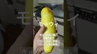 【沖縄野菜】モーウィをもらった。何を作ろうかな。サラダ？煮物？汁物？