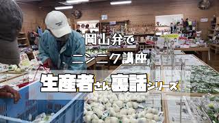 【生産者さん裏話】巨大ニンニク出荷中！ニンニクは人間より時間がかかる？？知らなかったニンニク栽培｜岡山弁を交えて解説｜農産物直売所たね井や