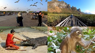 泰國 曼谷 華欣 Bangkok บางกอก HuaHin หัวหิน